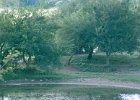 1996 Argentina 06 24