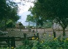 1996 Argentina 06 26