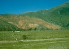 1996 Argentina 07 13