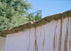 1996 Argentina 07 23