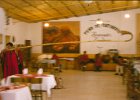 1996 Argentina 07 44