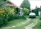 1996 Argentina 12 19