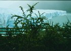 1996 Argentina 04 19