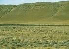 1996 Argentina 04 45