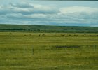1996 Argentina 04 49