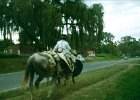 1996 Argentina 08 11