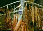 1996 Argentina 08 17