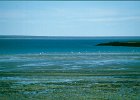 1996 Argentina 09 48