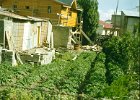 1996 Argentina 01 24