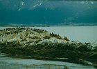 1996 Argentina 02 05
