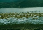 1996 Argentina 02 10