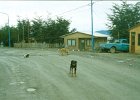 1996 Argentina 02 22