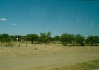 1996 Argentina 08 48