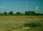 1996 Argentina 09 08