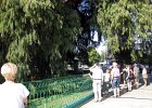 IMG 2705