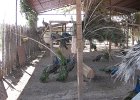 IMG 2712