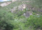 IMG 2725