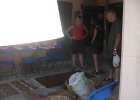 IMG 4360