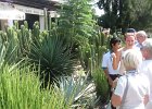 IMG 4364