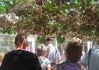 IMG 4367