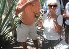 IMG 4370