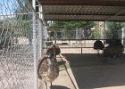 IMG 4371
