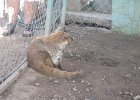 IMG 4376