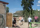 IMG 4379