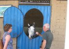 IMG 4381