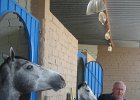IMG 4384