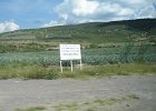 IMG 4398