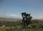 IMG 2672