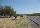 IMG 2679