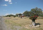 IMG 2681