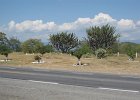IMG 2682