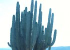 IMG 4110