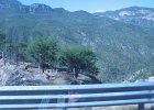 IMG 4118