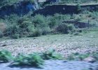 IMG 4129