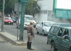 IMG 4142