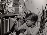 Familiealbum Sdb032 2  1952 Sommeren 1952 i Istedgade