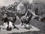 Familiealbum Sdb028 1  Besøg i anledning af mors fødselsdag 1952