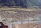 1999 Nepal 02 16