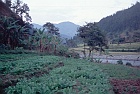 1999 Nepal 02 29