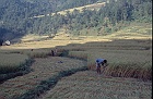1999 Nepal 02 32