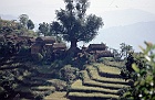 1999 Nepal 02 45