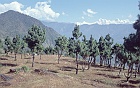 1999 Nepal 03 23