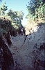 1999 Nepal 04 11