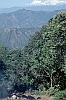 1999 Nepal 04 26
