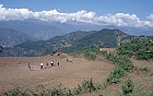 1999 Nepal 04 34