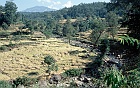 1999 Nepal 05 21